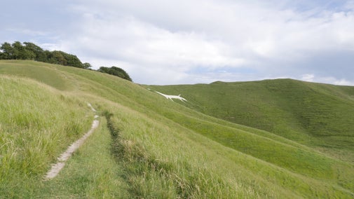 A view across a field with a footpath disappearing into the distance leading to the white chalk image of a horse picked out of the grass